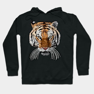 Rama the Tiger Hoodie